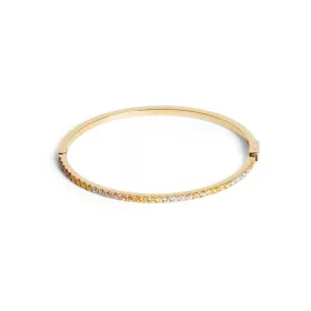 Coeur de Lion 0146/32-1590_19 Karperec