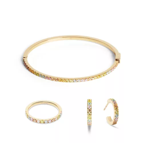 Coeur de Lion 0146/32-1590_19 Karperec