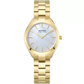 Bering 17331-734 karóra