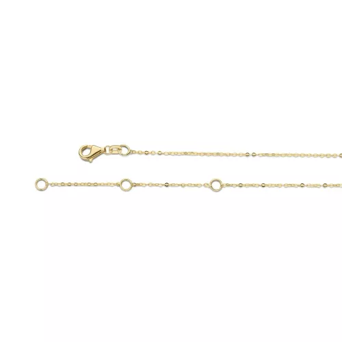 Jackie Gold 14 karátos arany hosszú lapmedálos női nyaklánc